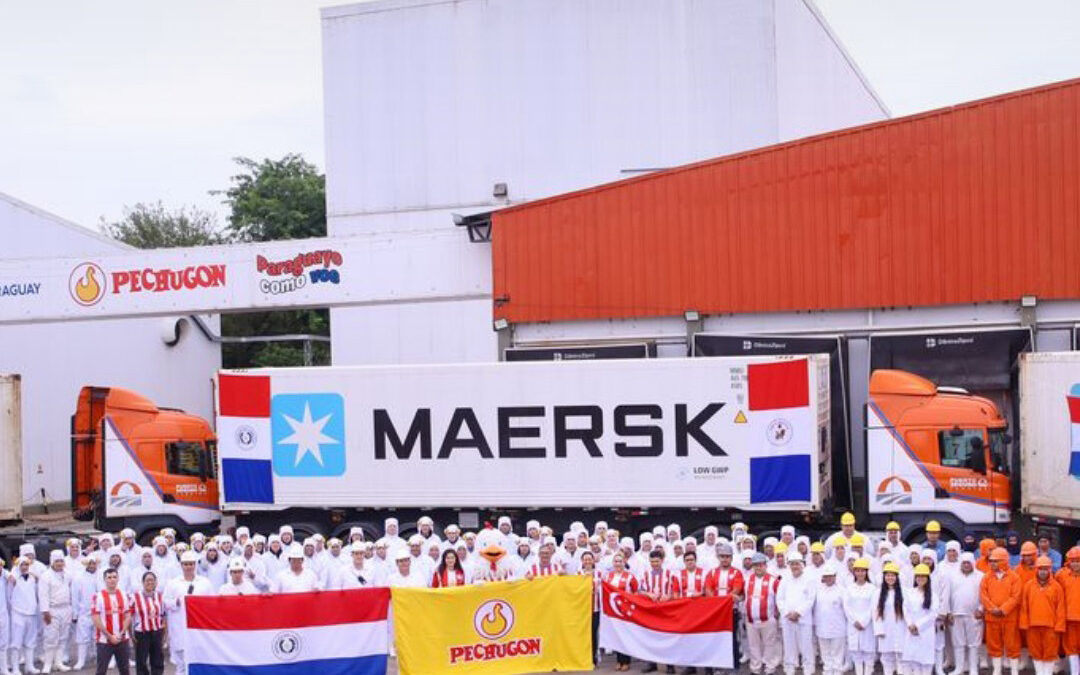 Hito Histórico: Pechugon inicia la exportación de carne de pollo con Certificación Halal rumbo a Singapur